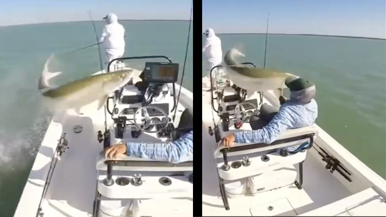 Ψάρι χλευάζει τρεις ψαράδες