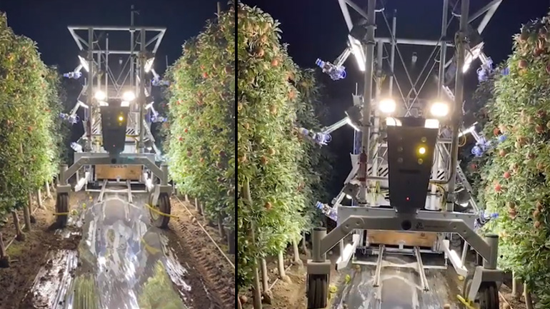 Ρομπότ που μαζεύει μήλα