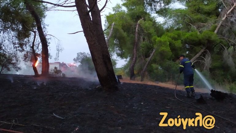 Πυρκαγιά στα Γρανιτσέικα Πύργου