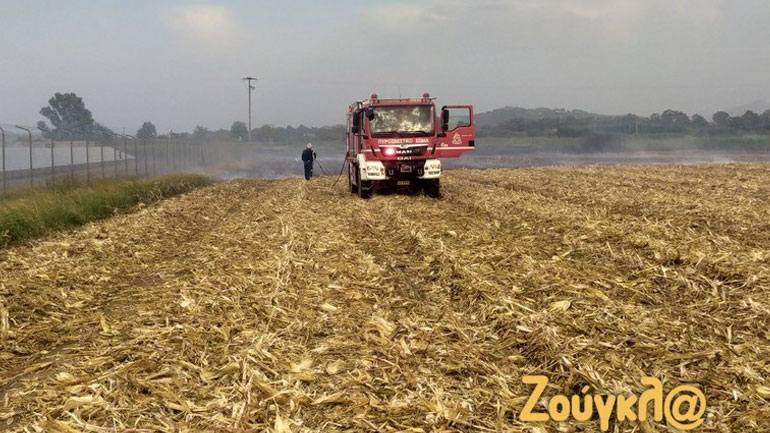 Καλύτερη εικόνα παρουσιάζει η φωτιά στη Σπιάντζα Ηλείας
