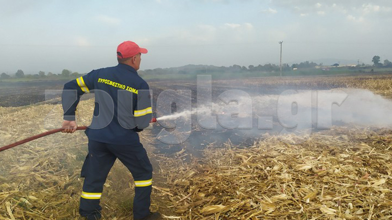 Πυρκαγιά στη Σπιάντζα Ηλείας