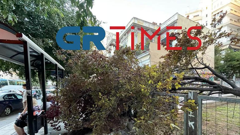 Θεσσαλονίκη: Οι σφοδροί άνεμοι ξερίζωσαν δέντρα