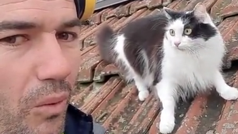 Άντρας μιμείται μια θυμωμένη γάτα