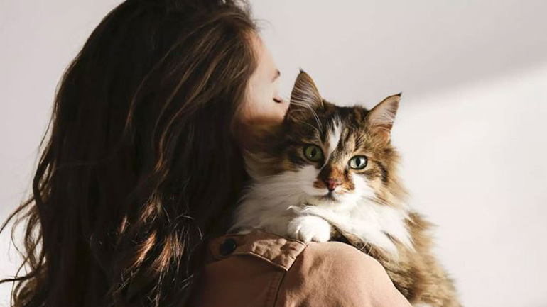 Πώς να αποτρέψετε την απώλεια βάρους στις γάτες