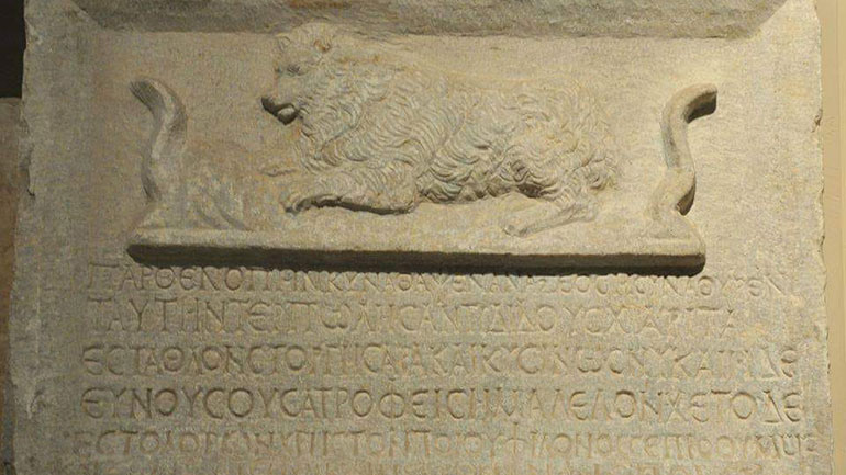 O τάφος της σκυλίτσας Παρθενόπης και η σχέση του ανθρώπου με τα ζώα από την αρχαιότητα