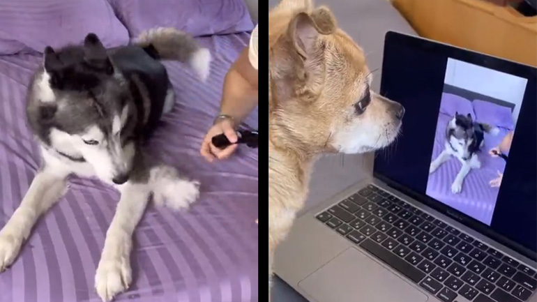 Μην κάνεις κανένα αστείο