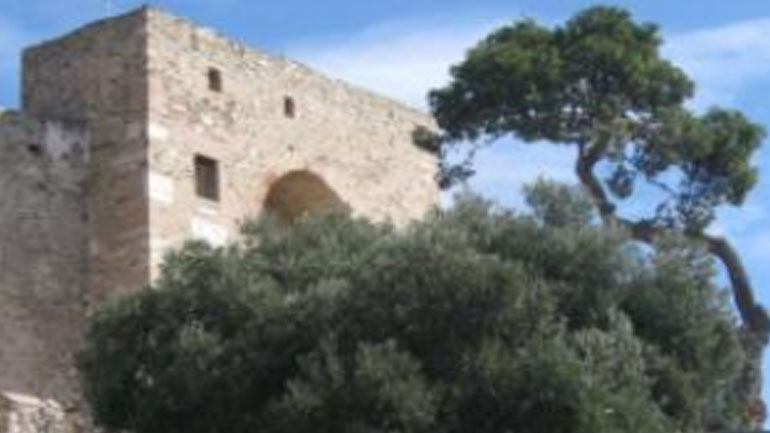 Θεσσαλονίκη: Απομακρύνεται το ιστορικό πεύκο του Επταπυργίου