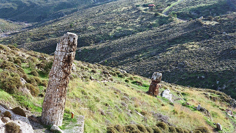 Το απολιθωμένο δάσος Λέσβου και η ηφαιστειακή καλντέρα Σαντορίνης στα πρώτα 100 μνημεία παγκόσμιας Γεωλογικής Κληρονομιάς