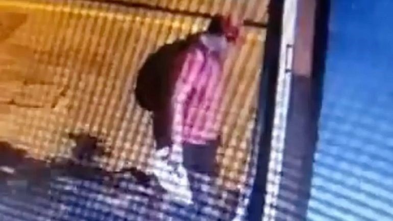 Θεσσαλονίκη: Διδάκτωρ στο ΑΠΘ ο 39χρονος που ποδοπάτησε μέχρι θανάτου το γατάκι