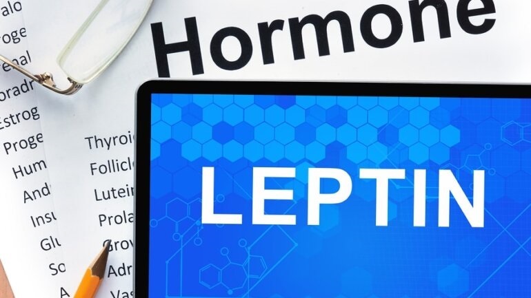 Oρμόνη προστατεύει από την ανάπτυξη λιπώδους ήπατος