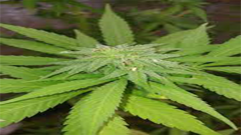 Σοφία Μαργαρίτη: Η απάντηση στην ανακοίνωση της Acun Medya για την αγωγή της