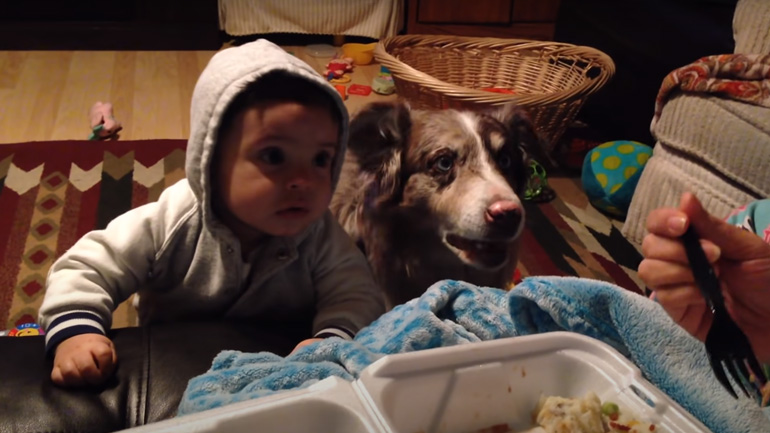 Ο σκύλος είπε μαμά πριν το μωρό