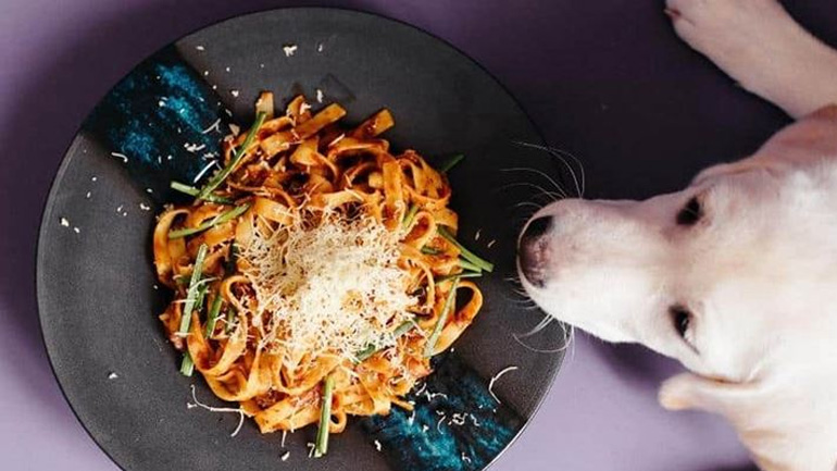 Μπορώ να δώσω στον σκύλο μου μακαρόνια;