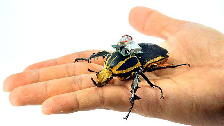 Οι cyborg κατσαρίδες έρχονται και θέλουν να μας βοηθήσουν Οι cyborg κατσαρίδες έρχονται και θέλουν να μας βοηθήσουν