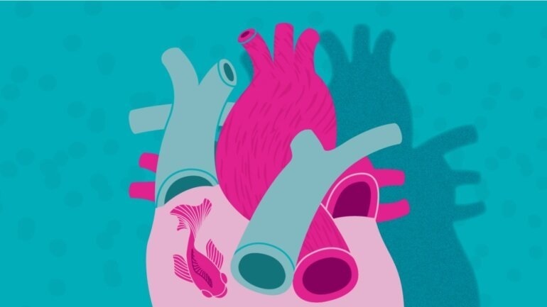 Ο κίνδυνος για καρδιαγγειακές παθήσεις είναι ίδιος στα δύο φύλα