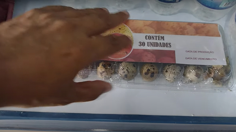 Αβγά εκκολάπτονται σε ένα σουπερμάρκετ