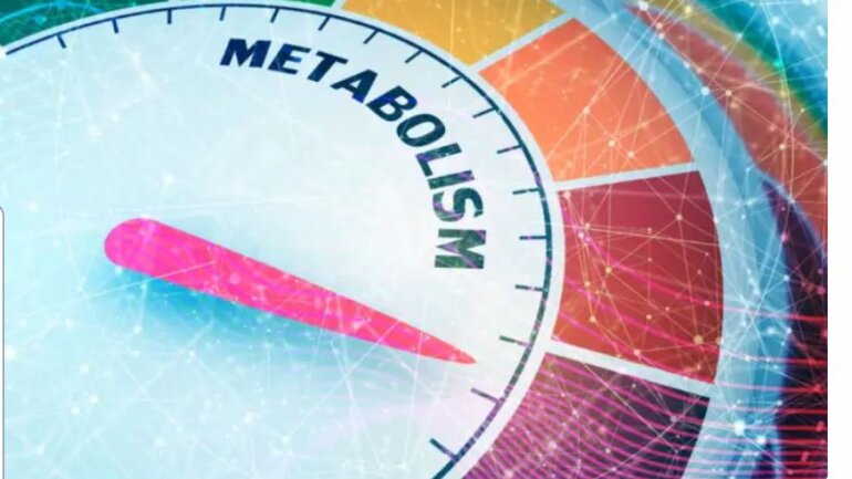 Ο μεταβολισμός, αντί για τα γονίδια, μπορεί να προσφέρουν μια καλύτερη εικόνα για τον κίνδυνο ασθενειών