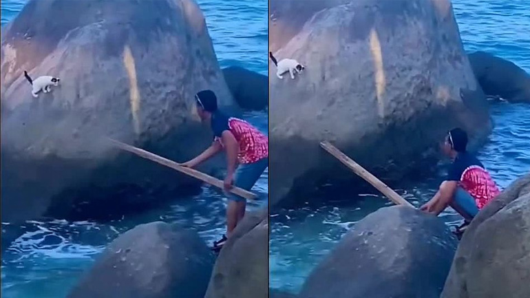 Άνδρας σώζει μια γάτα από ένα βράχο