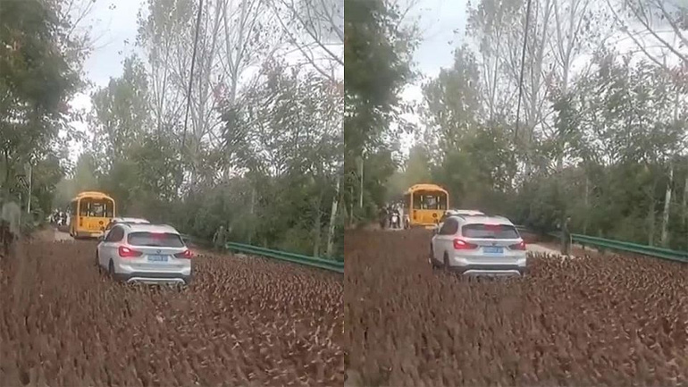 Πάπιες πολιορκούν αυτοκίνητο 