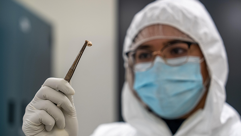 Ο Μαύρος Θάνατος, που χτύπησε πριν από 700 χρόνια, επηρεάζει την υγεία μας σήμερα