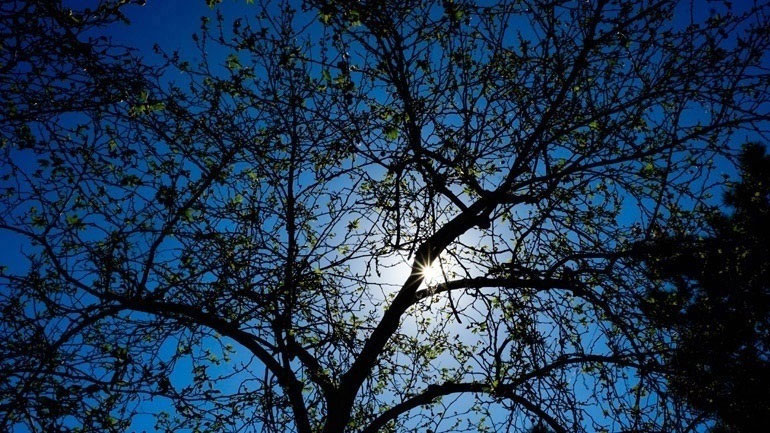 Ο καιρός σήμερα