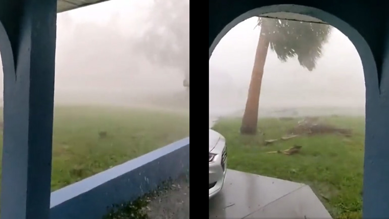 Ο τυφώνας έφερε έναν νέο φίλο στο σπίτι