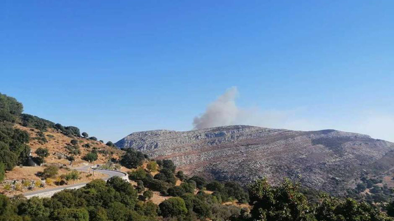 Νάξος: Πυρκαγιά σε δύσβατη περιοχή στο Δανακό