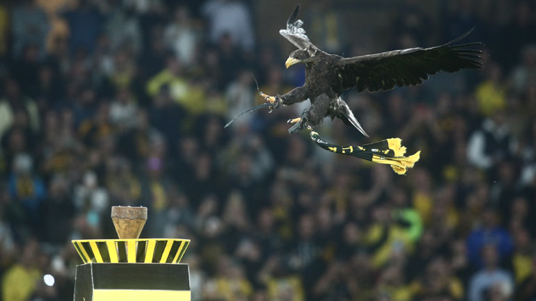 O γνωστός σε όλους μας, Οδυσσέας επί τω έργω