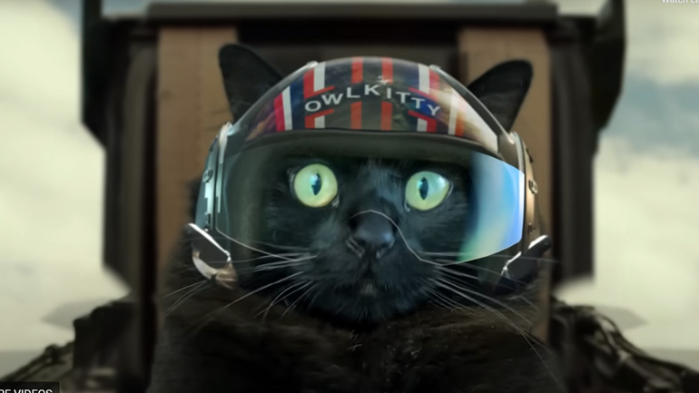 H «OwlKitty» στο Top Gun H «OwlKitty» στο Top Gun