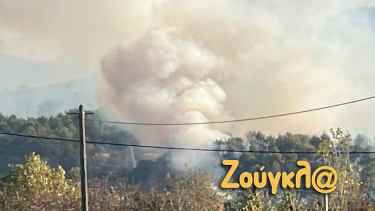 Πυρκαγιά σε δασική έκταση στο Καπανδρίτι