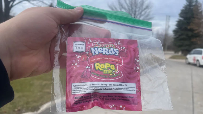 Βανκούβερ: Συνελήφθησαν δύο Καναδοί που μοίραζαν γλυκά με κάνναβη σε μικρά παιδιά τη νύχτα του Halloween