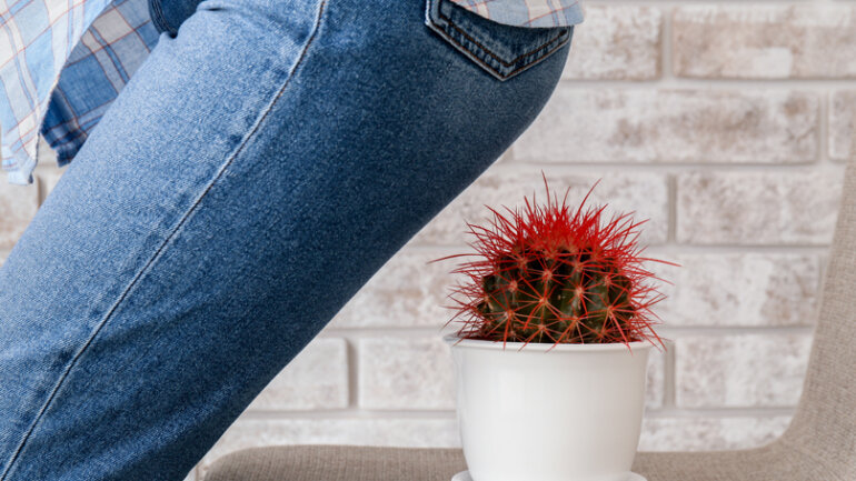 Μύθοι και αλήθειες για την αιμορροϊδική νόσο