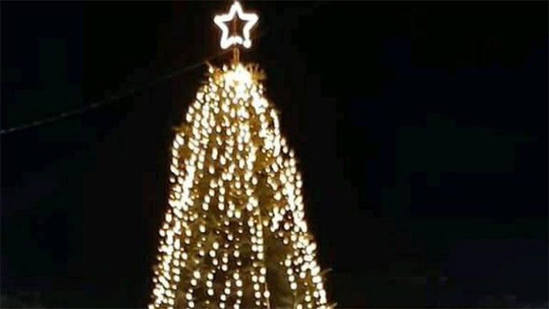 Στα 16 μέτρα το έλατο του Ταξιάρχη – Φωταγωγείται στις 7 Νοεμβρίου