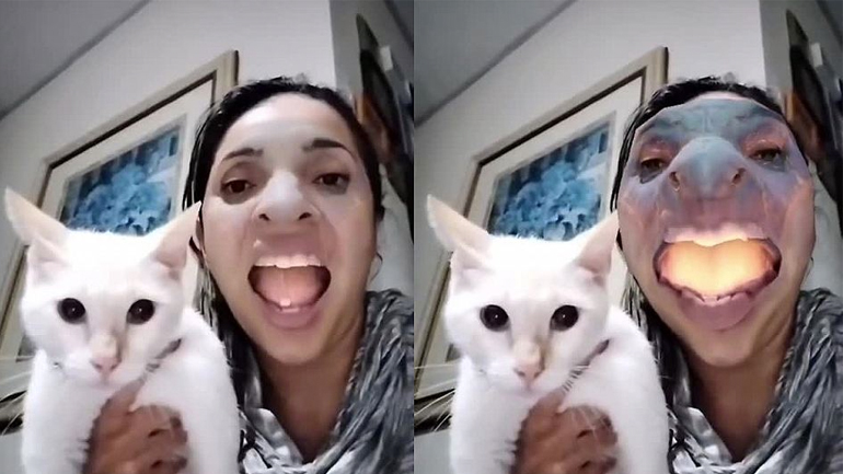 Η γάτα και το φίλτρο του δράκου