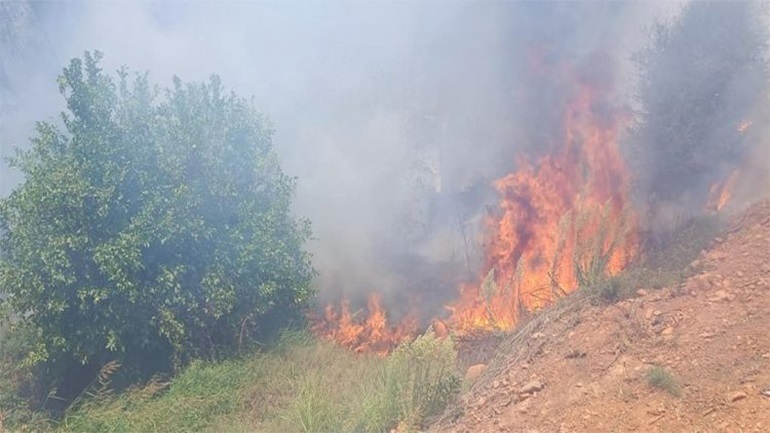 Φωτιά στην περιοχή Ανάληψη της Ηλείας