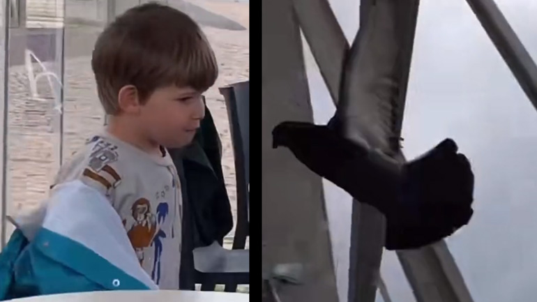 Aγόρι τρομάζει περιστέρι και του γυρίζει μπούμερανγκ