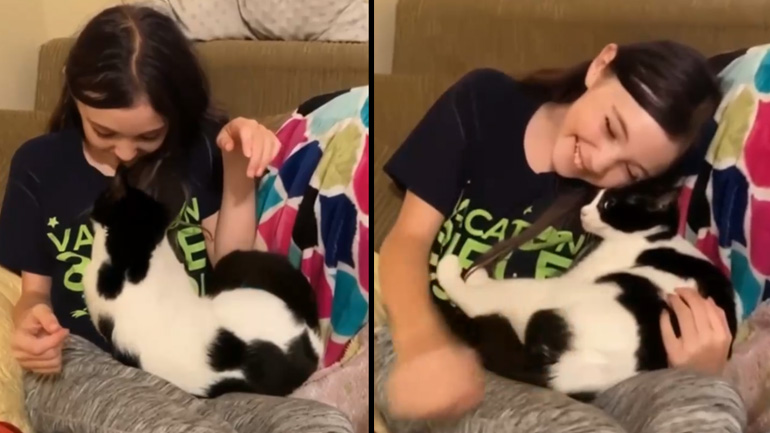 Η γάτα λατρεύει τις αγκαλιές