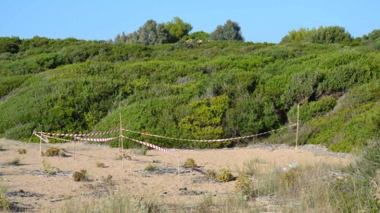 Μεσσηνία: Δύο συλλήψεις για τη δολοφονία του 31χρονου στον Καρτελά Κυπαρισσίας – Κίνητρο η ληστεία