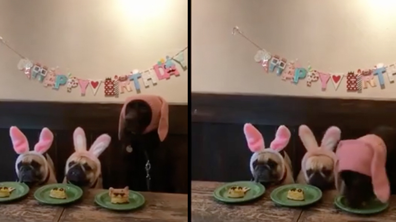 Ο φαταούλας της παρέας