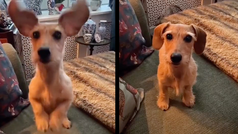 Δώσε το παιχνίδι μου!