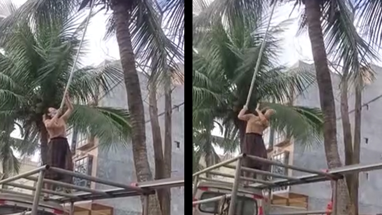 Πώς να μην κόψετε μια καρύδα