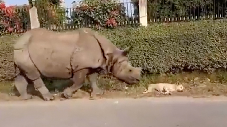 Τρομακτικό ξύπνημα 