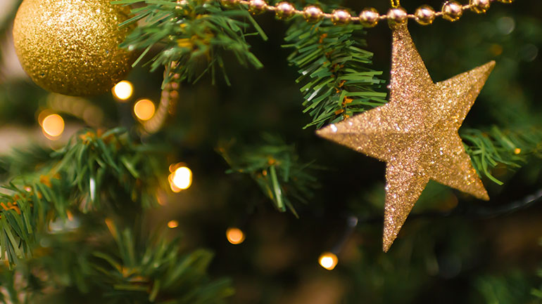 Φυσικά δέντρα για τα Χριστούγεννα μεταφύτευσε στην πόλη ο Δήμος Αγίων Αναργύρων-Καματερού