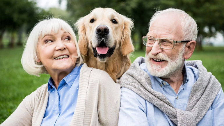 Οι ιδανικές ράτσες σκυλιών για ηλικιωμένους