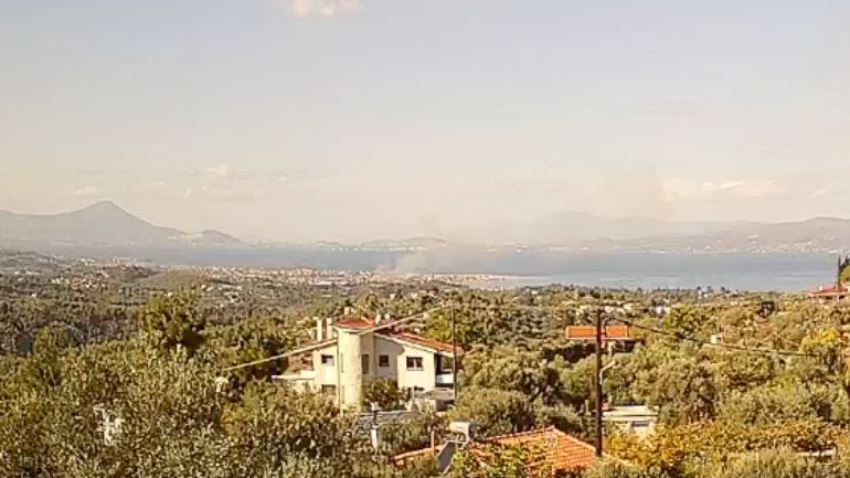 Πυρκαγιά σε χαμηλή βλάστηση στη Σκάλα Ωρωπού