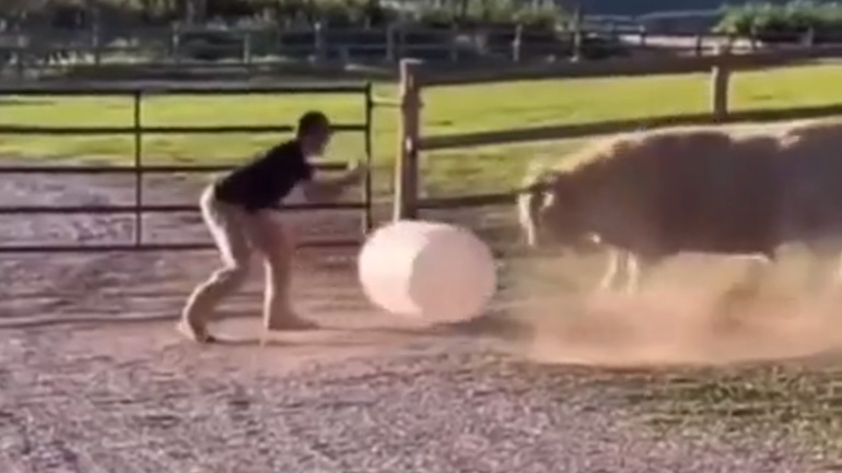 Παιχνίδι με ένα ταύρο