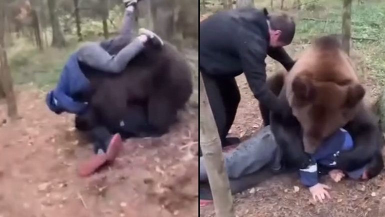 Τρεις Ρώσοι εναντίον μιας αρκούδας