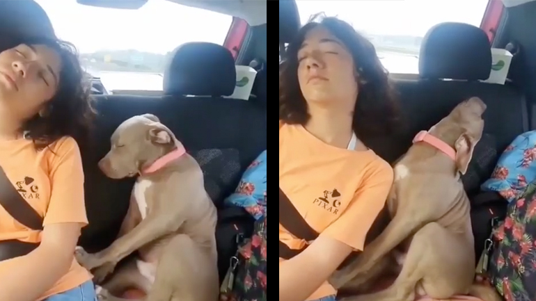 Ταξίδι με αυτοκίνητο