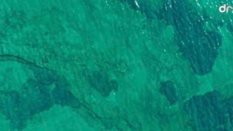 Το άγνωστο βυθισμένο αεροσκάφος RU-21A στην Ανάβυσσο