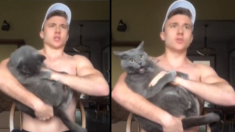 Η γάτα ηρεμεί με το τραγούδι